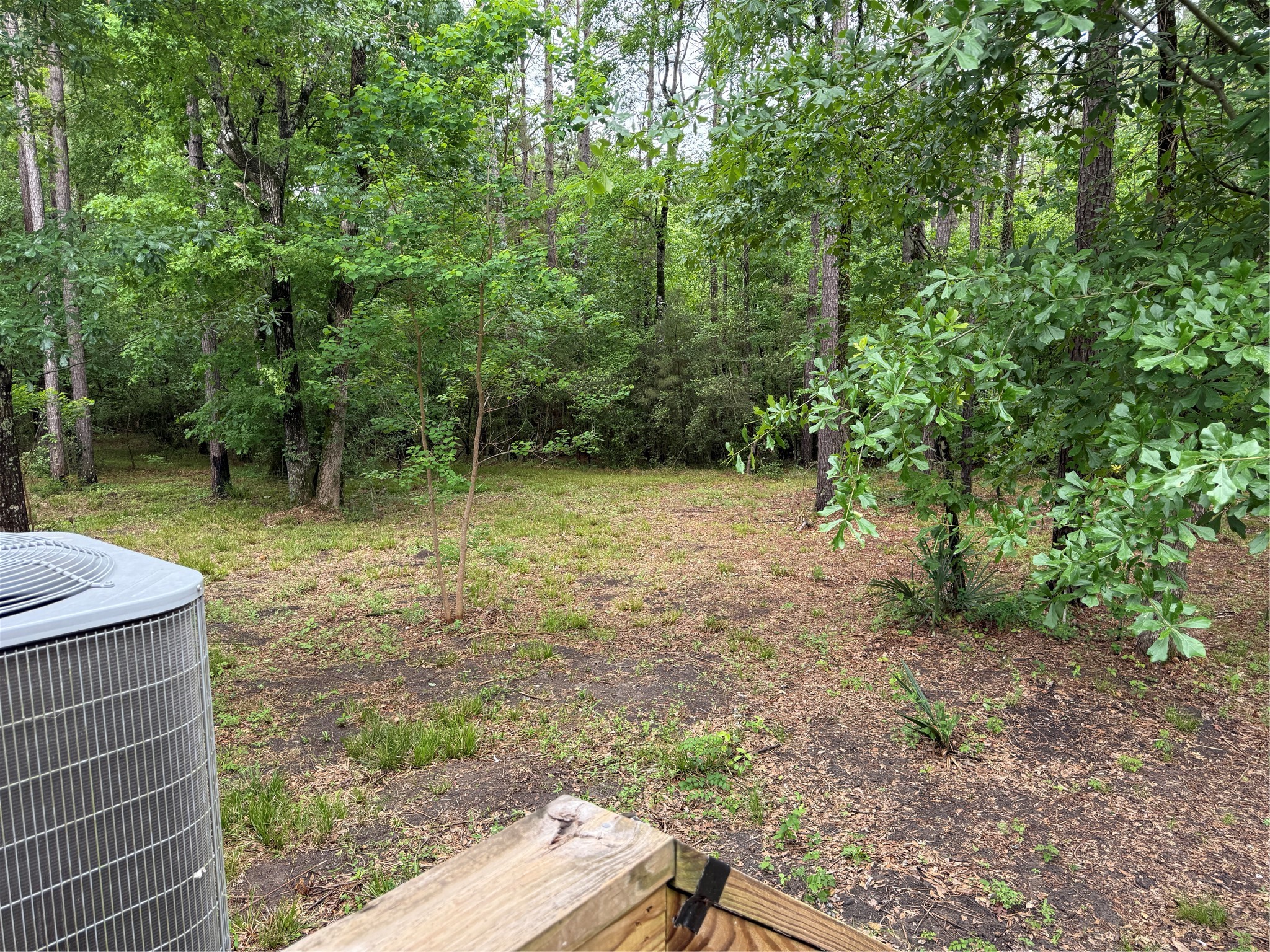 105 Saddle Surrey Road Coldspring, TX 77331 - Photo 47 of 48 a backyard of a house with lots of green space