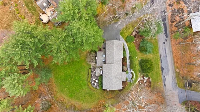 a view of a garden with a tree