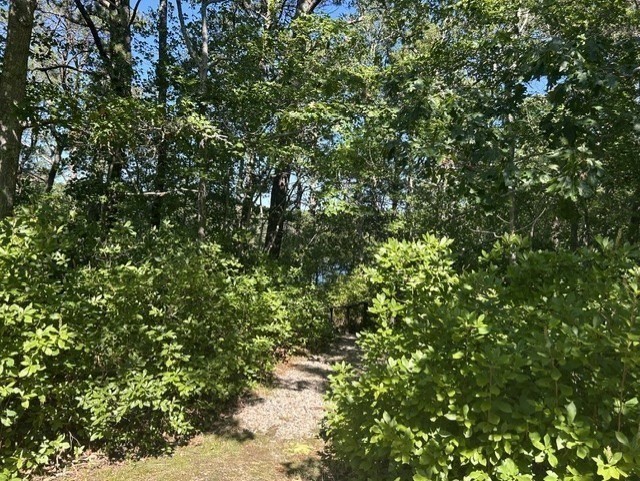 222 Buck Island Road, Unit 54 Yarmouth, MA 02673 - Photo 27 of 32 Gallery Image 27
