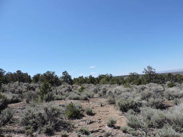1441 Michaels Road Fort Garland, CO 81133 - Photo 3 of 15 Gallery Image 3