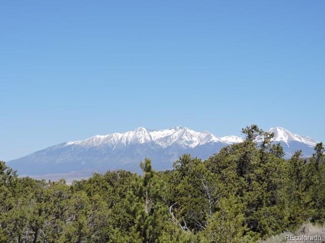 1441 Michaels Road Fort Garland, CO 81133 - Photo 4 of 15 Gallery Image 4