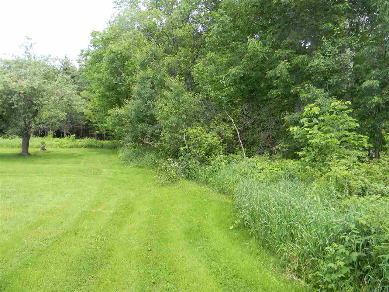 171 N Road Jefferson, NH 03583 - Photo 17 of 36