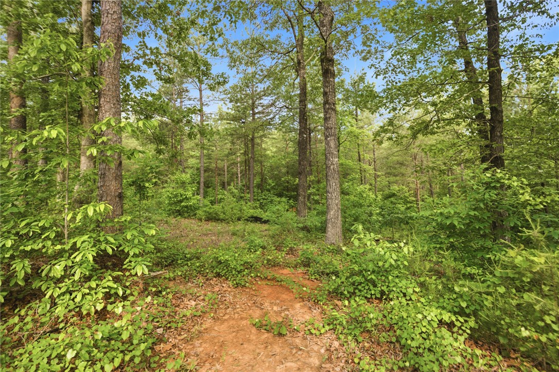 Lot 108 Harbor Ridge Road Seneca, SC 29672 - Photo 9 of 13 This tranquil wooded lot offers a private natural retreat with abundant greenery and towering trees.