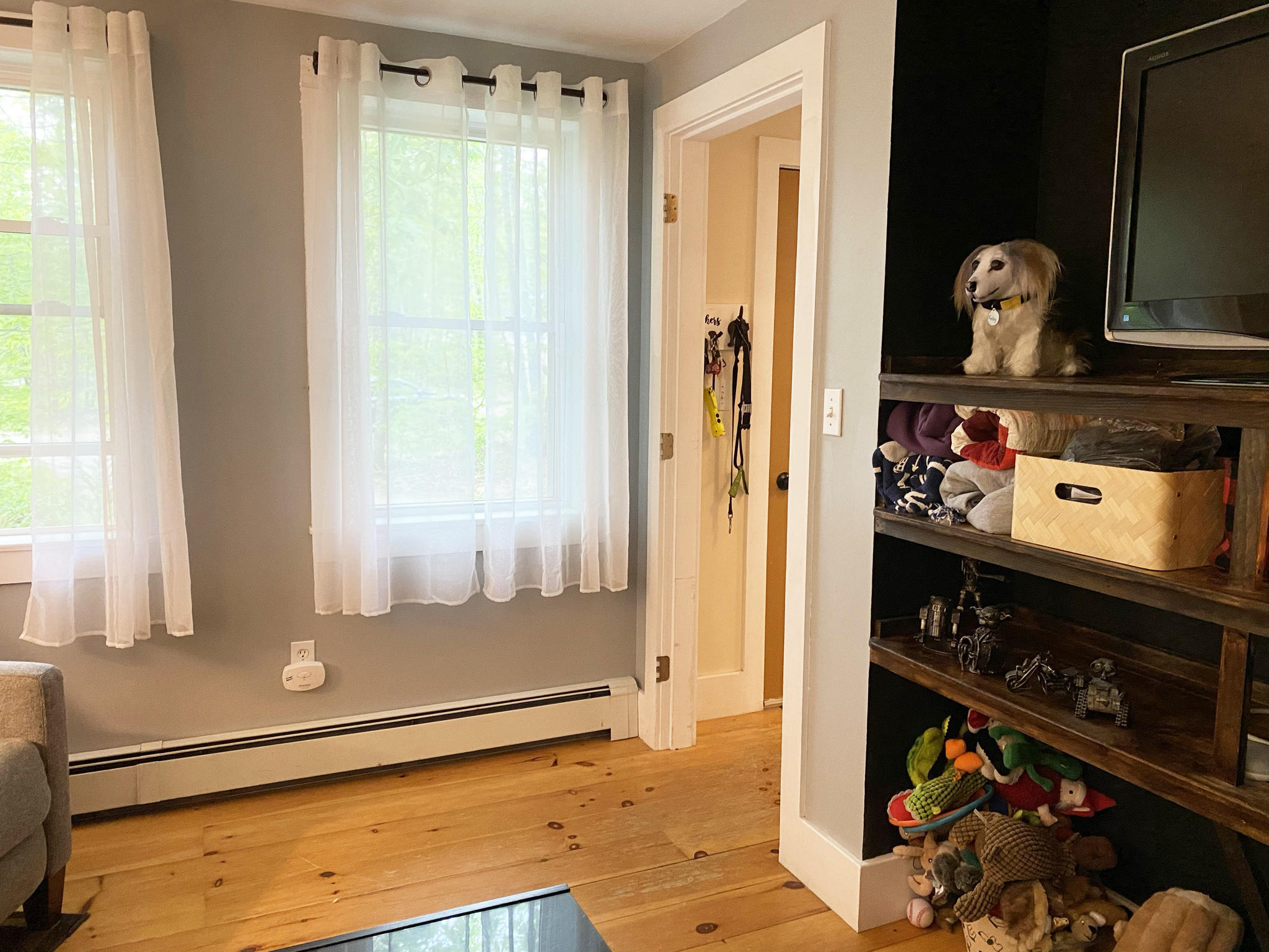 5 Sandalwood Road Belfast, ME 04915 - Photo 9 of 20 5 Sandalwood Living Room Built-ins
