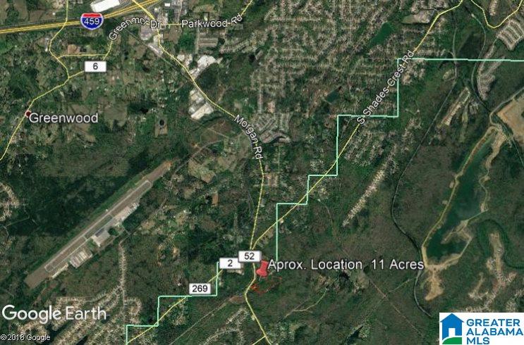 11-acres Morgan Road, Unit 11 ACRES Helena, AL 35022 - Photo 10 of 11