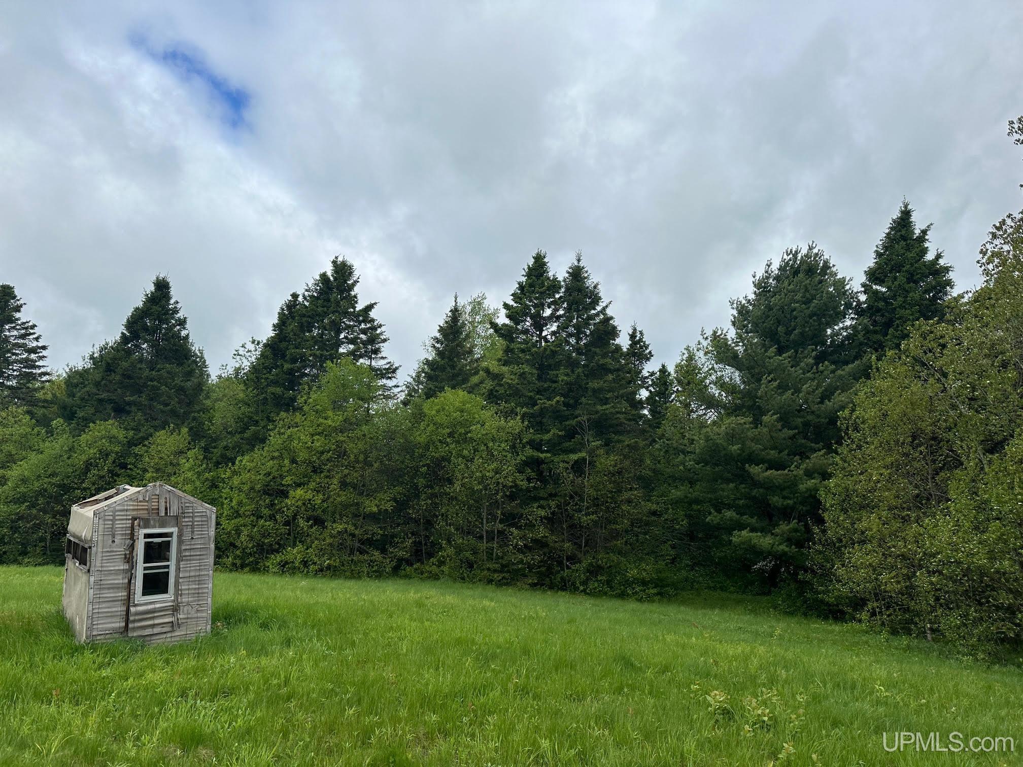 1390 North Co Road Skandia, MI 49885 - Photo 10 of 22