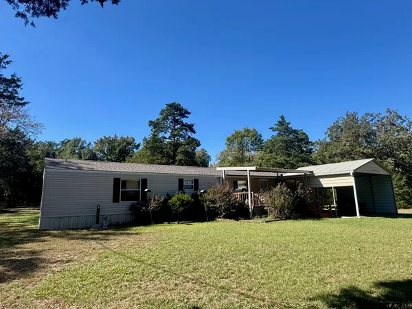 a backyard of a house with plants and large tree