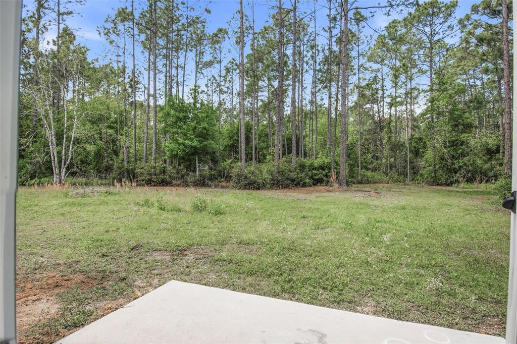 1730 Berrybush Street Bunnell, FL 32110 - Photo 35 of 43 a view of outdoor space and yard