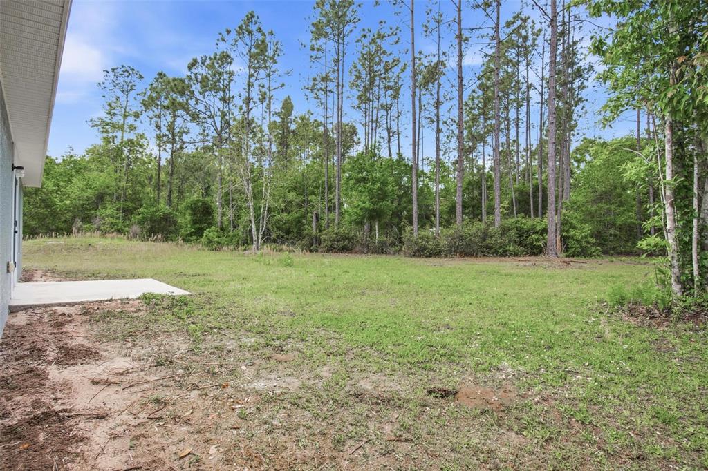 1730 Berrybush Street Bunnell, FL 32110 - Photo 36 of 43 a view of a field with trees in the background