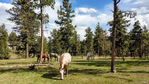 an empty room with wooden floor fireplace and windows