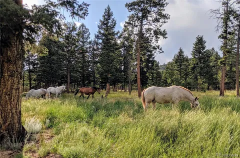 a kitchen with stainless steel appliances a stove a sink and a refrigerator
