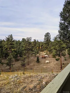 $600,000 | 64 Elk Horn Court, Bailey, CO 80421