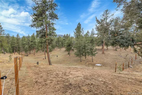 $600,000 | 64 Elk Horn Court, Bailey, CO 80421