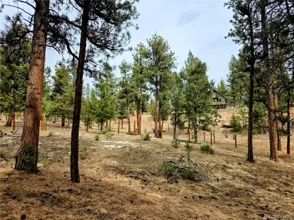 $600,000 | 64 Elk Horn Court, Bailey, CO 80421