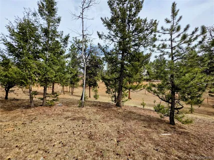 $600,000 | 64 Elk Horn Court, Bailey, CO 80421