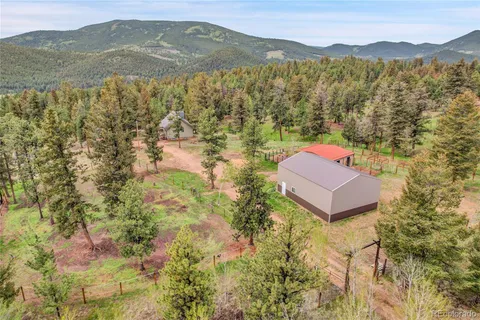 a view of yard with tree