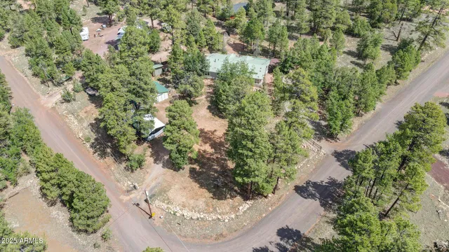 a view of dirt yard with a tree