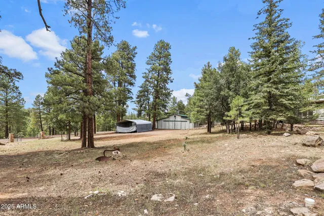 a view of outdoor space with trees