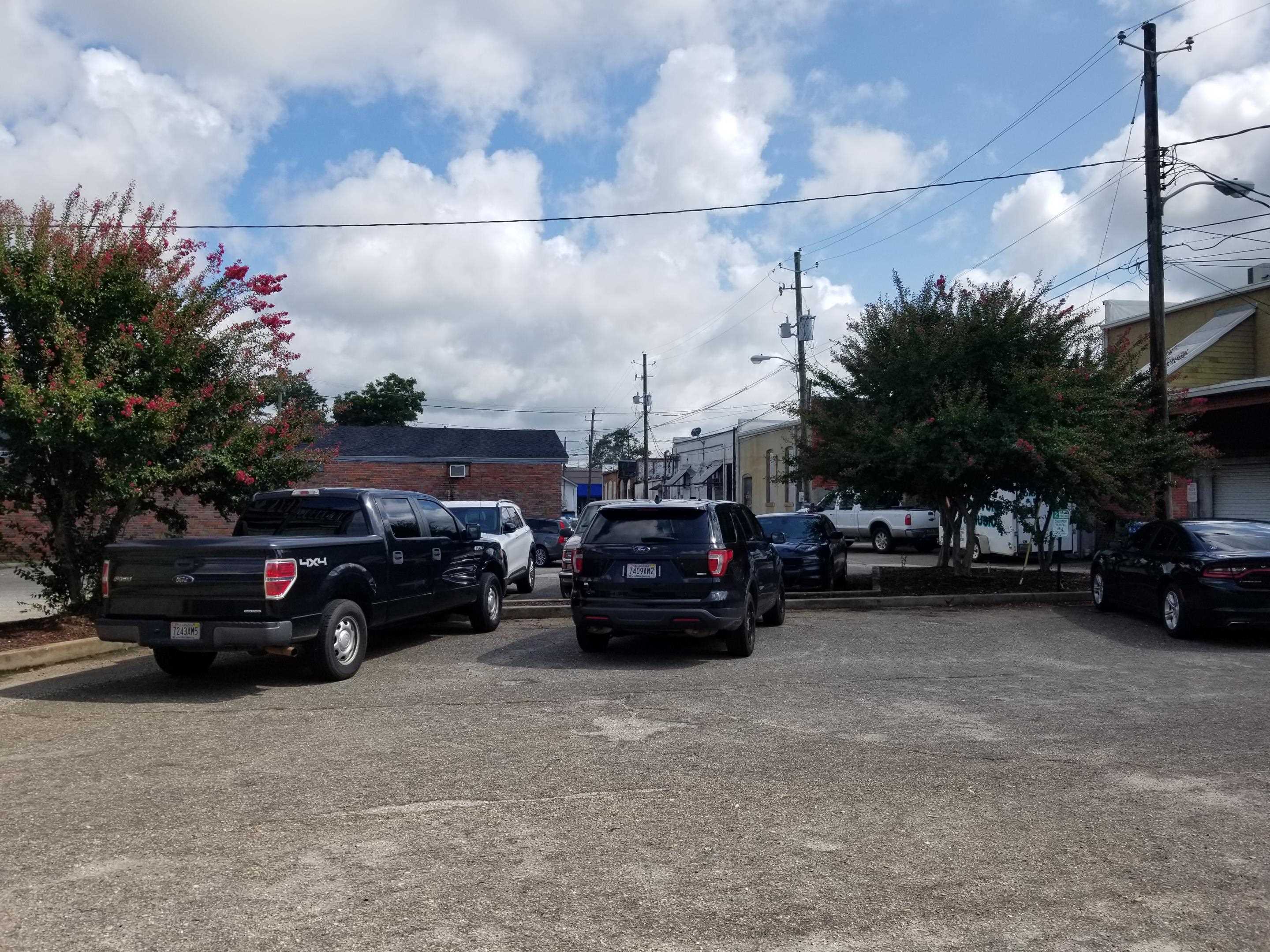 0 Trammell Street Atmore, AL 36502 - Photo 8 of 9