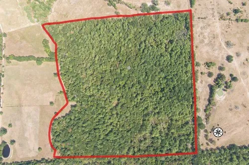 $275,500 | 217 Private Road, Crockett, TX 75835