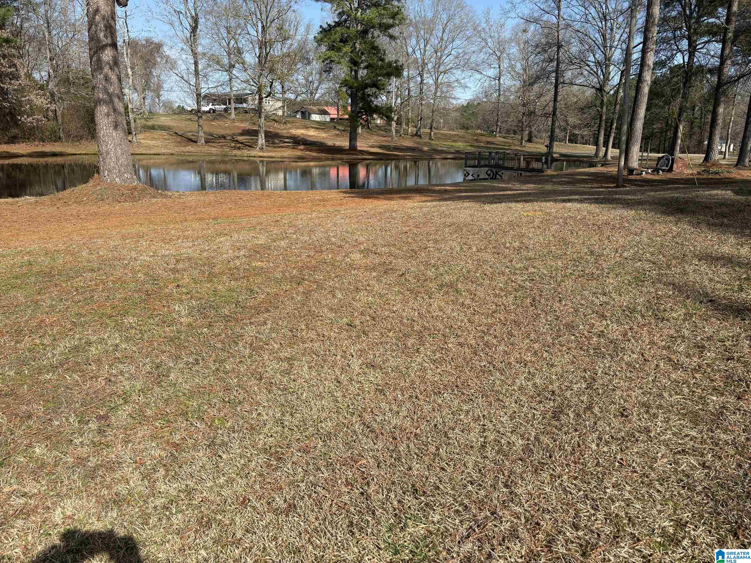 174 Mountain Road Ohatchee, AL 36271 - Photo 8 of 30