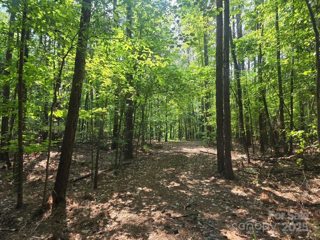 0 Hoke Road Heath Springs, SC 29058 - Photo 12 of 15
