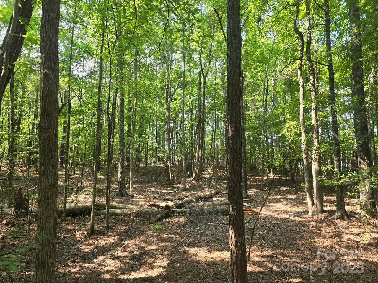 0 Hoke Road Heath Springs, SC 29058 - Photo 13 of 15