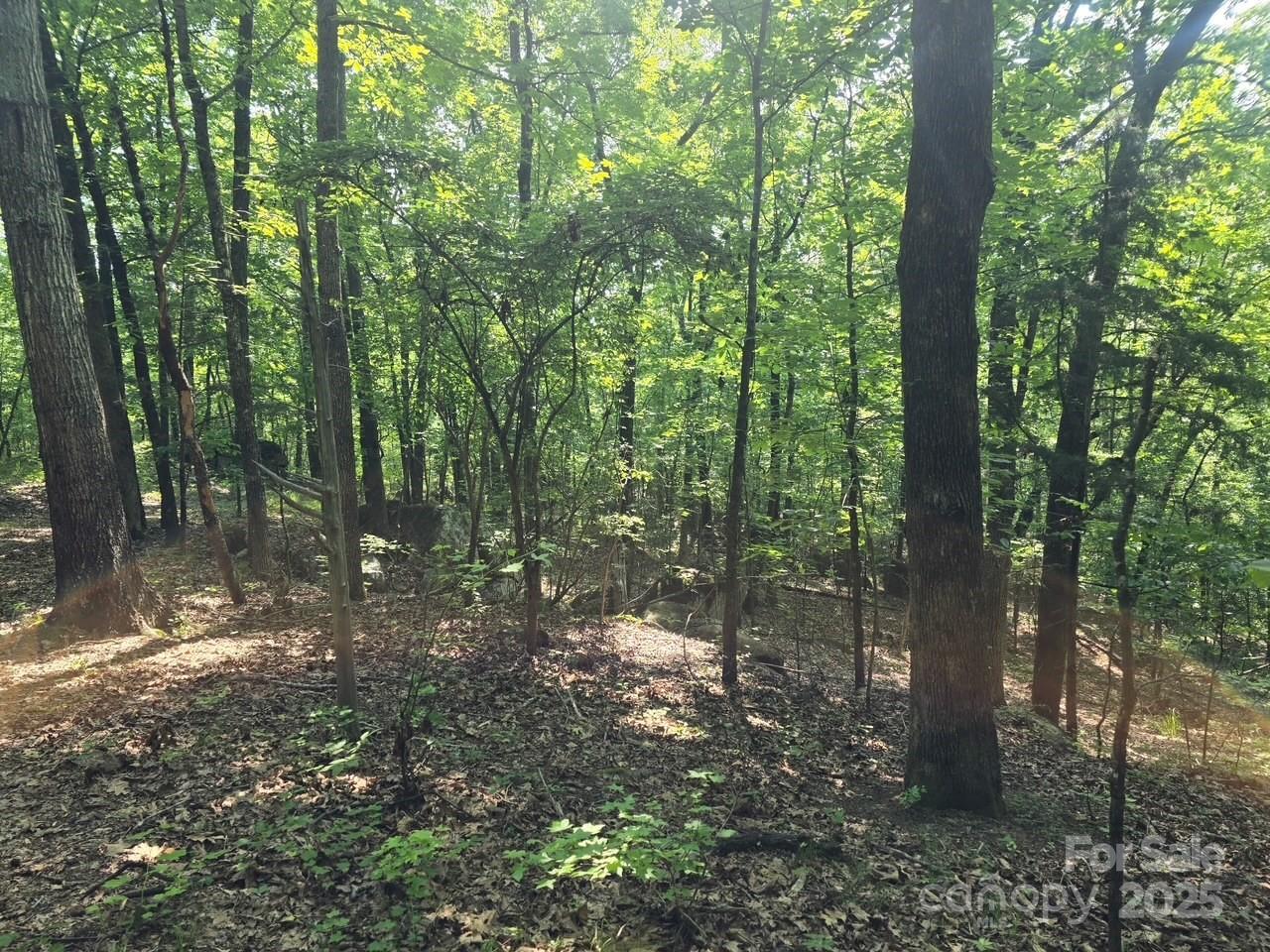 0 Hoke Road Heath Springs, SC 29058 - Photo 14 of 15