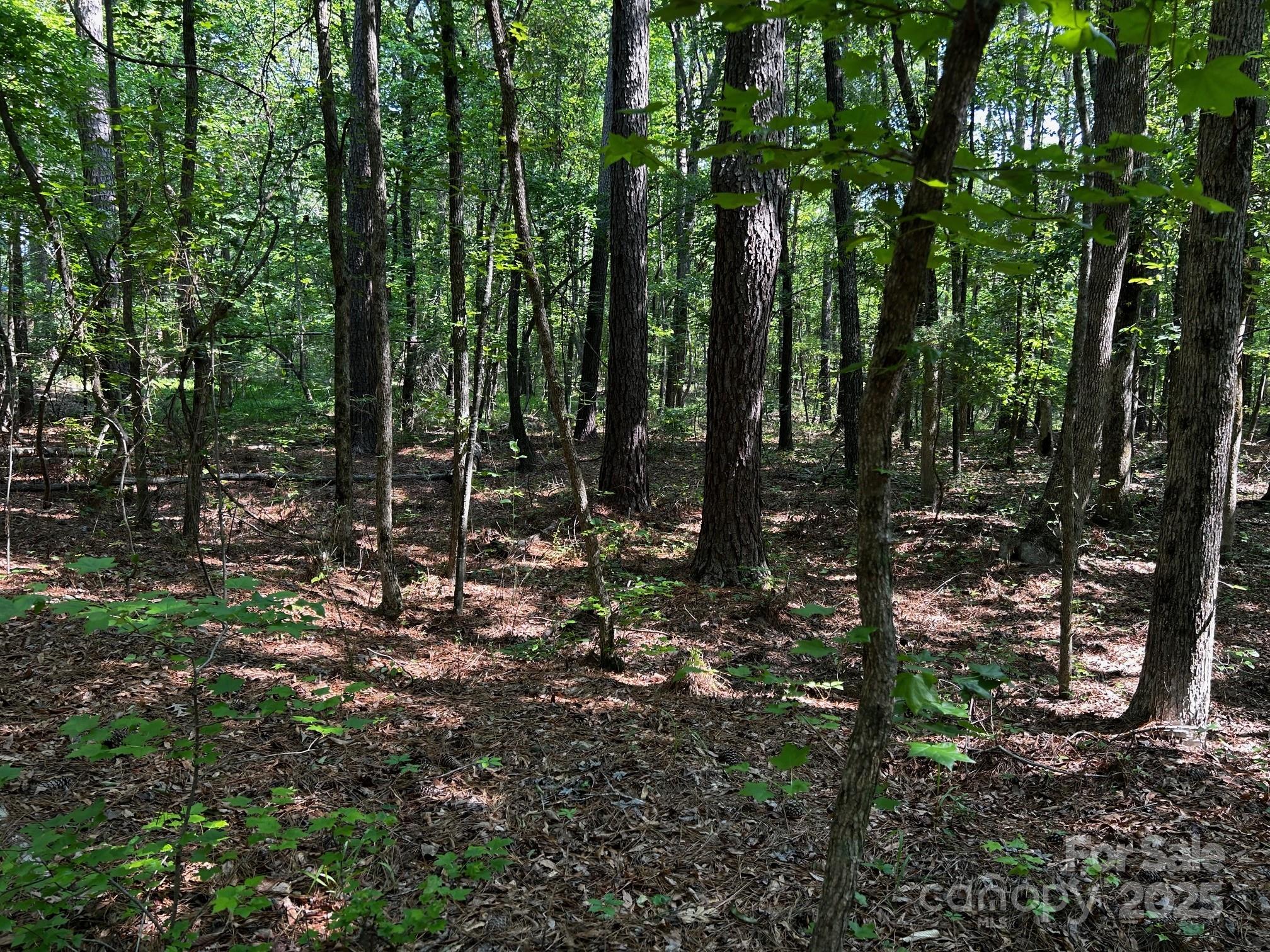 0 Hoke Road Heath Springs, SC 29058 - Photo 15 of 15