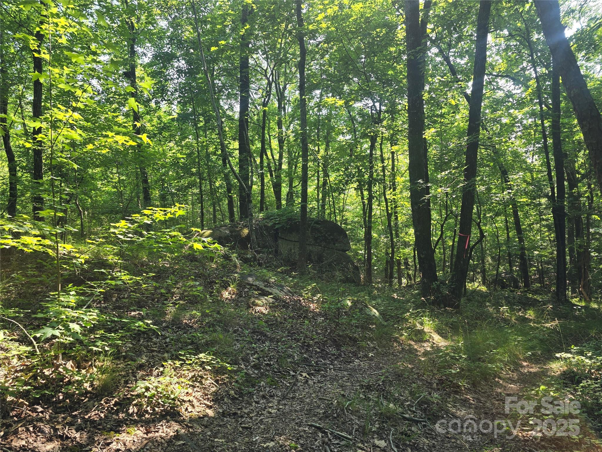 0 Hoke Road Heath Springs, SC 29058 - Photo 2 of 15