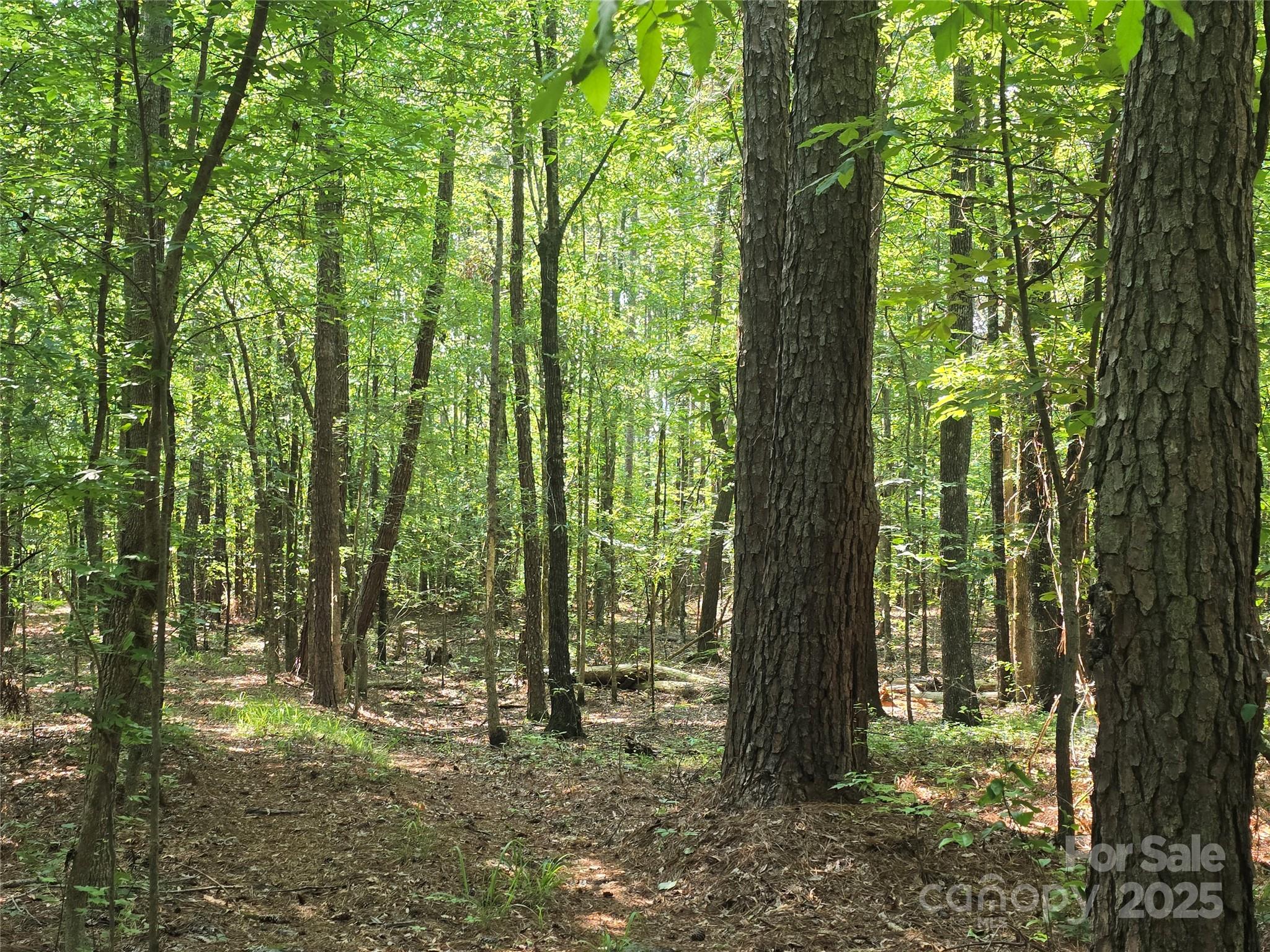 0 Hoke Road Heath Springs, SC 29058 - Photo 3 of 15