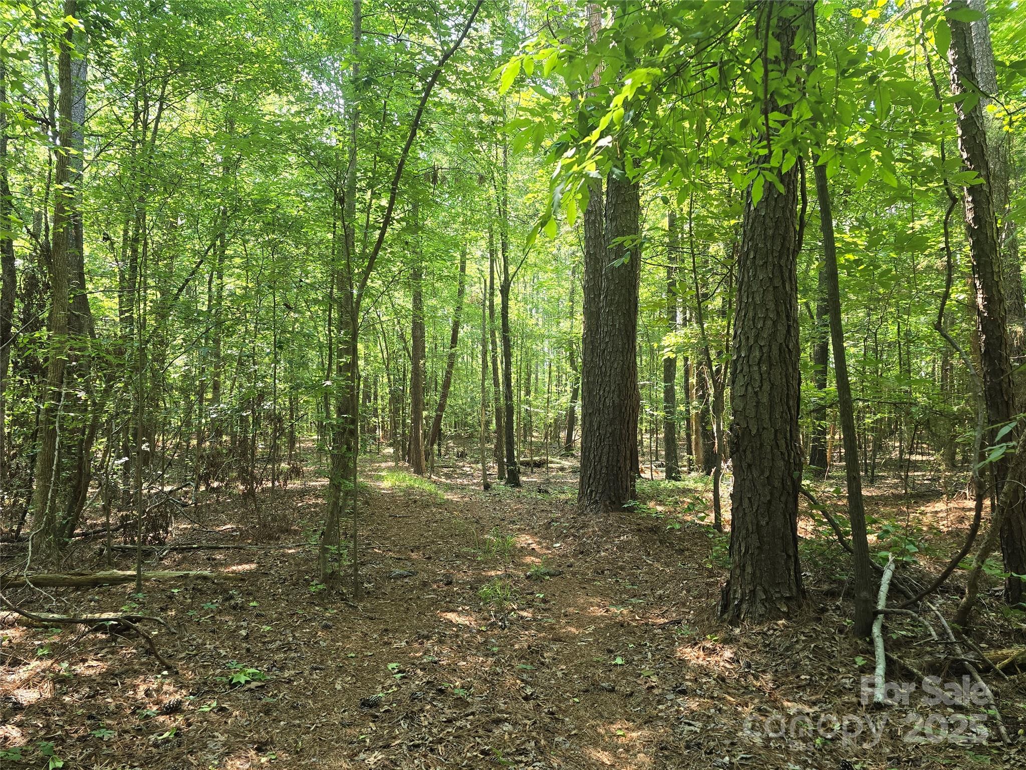 0 Hoke Road Heath Springs, SC 29058 - Photo 4 of 15