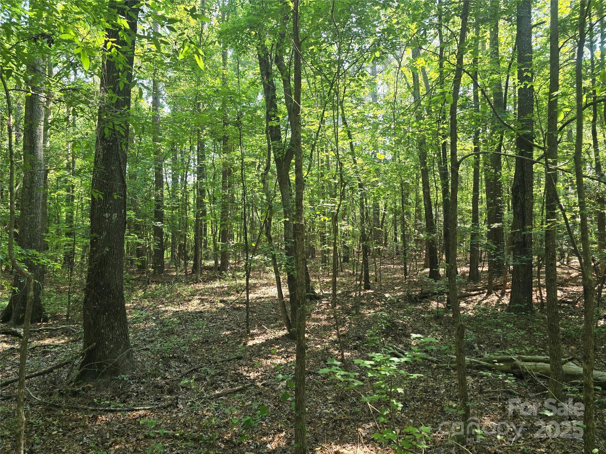 0 Hoke Road Heath Springs, SC 29058 - Photo 6 of 15