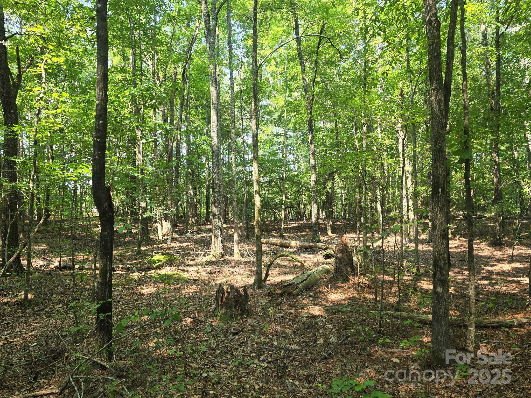 0 Hoke Road Heath Springs, SC 29058 - Photo 7 of 15