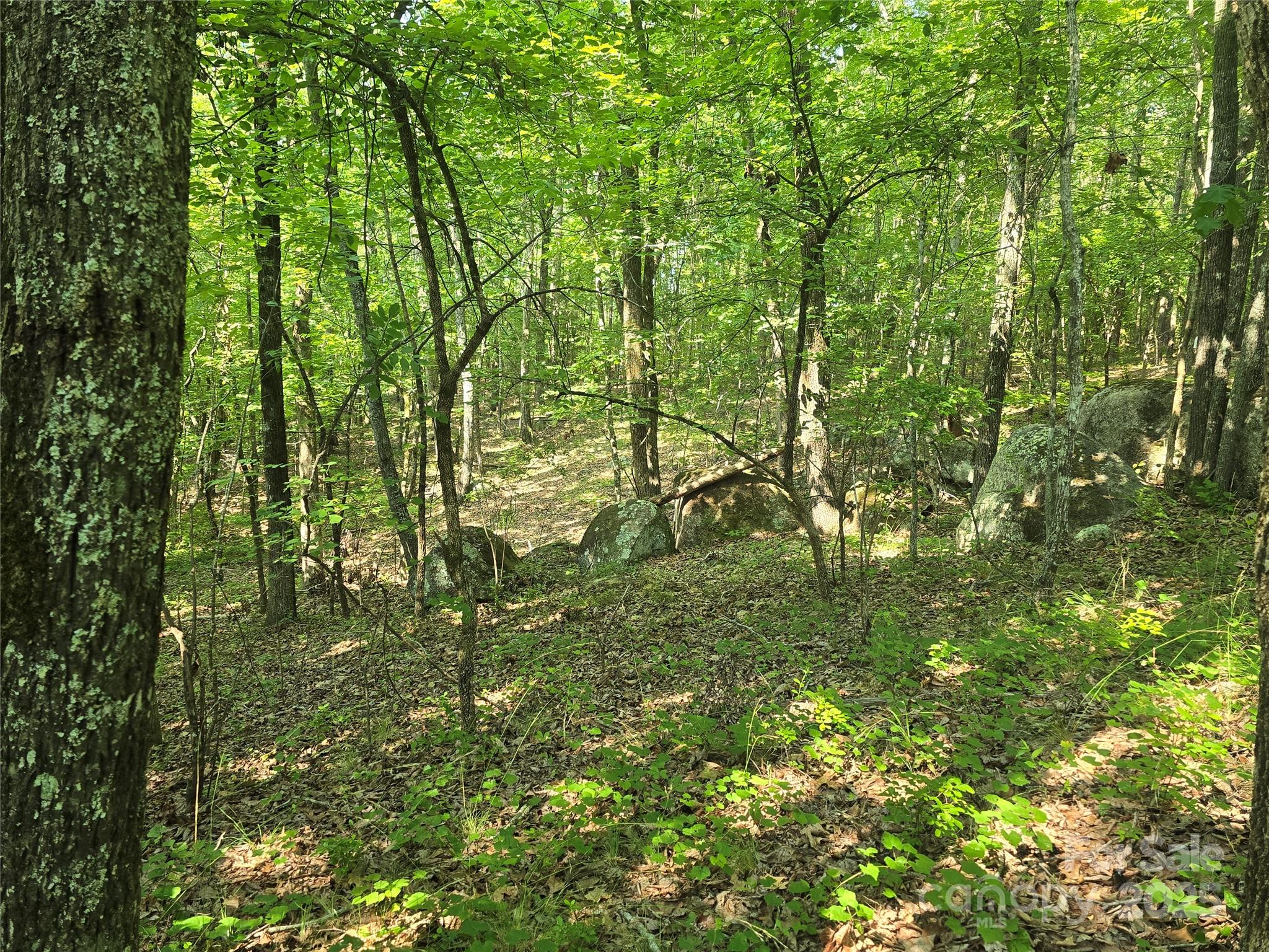 0 Hoke Road Heath Springs, SC 29058 - Photo 8 of 15