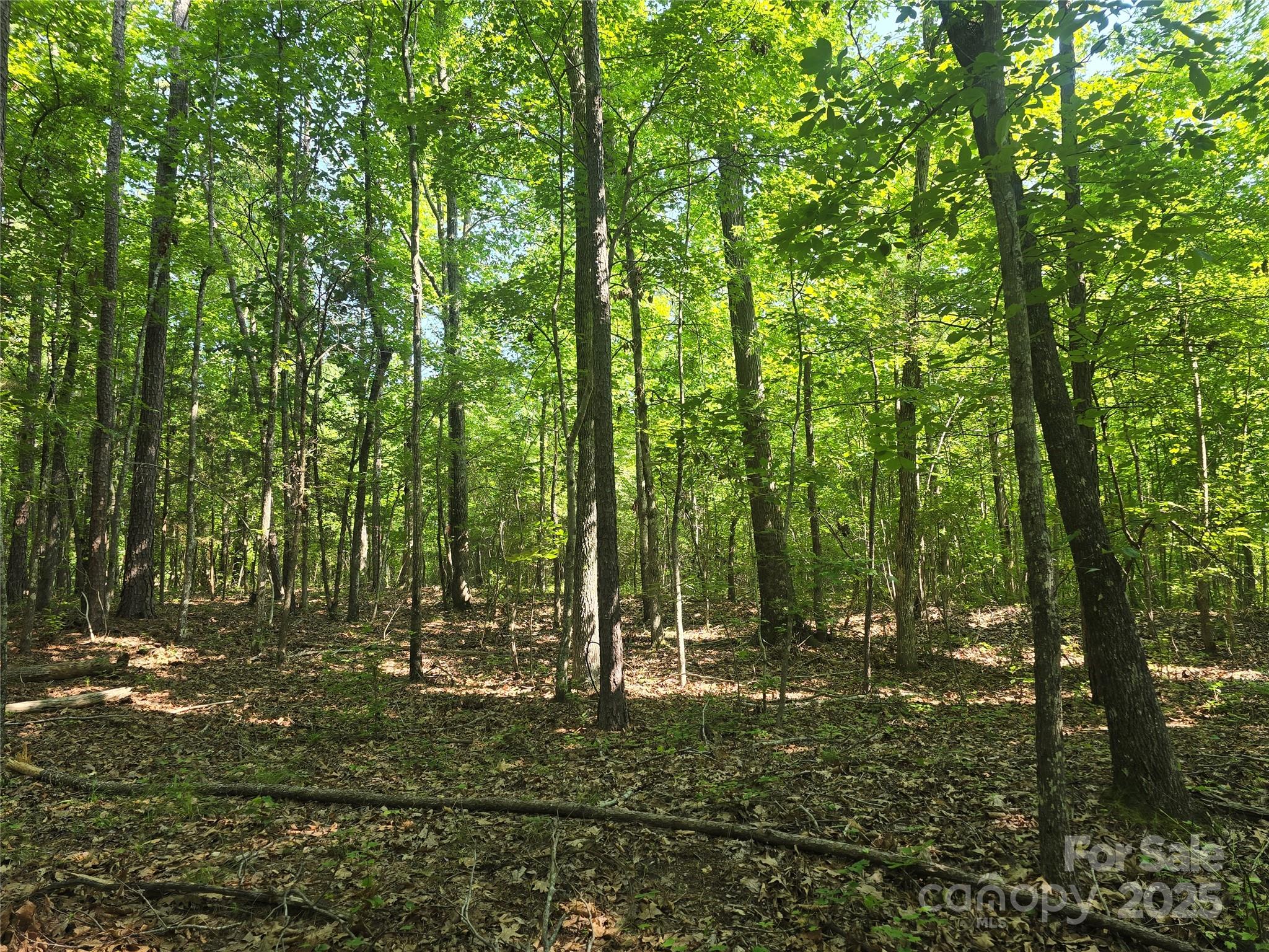 0 Hoke Road Heath Springs, SC 29058 - Photo 9 of 15