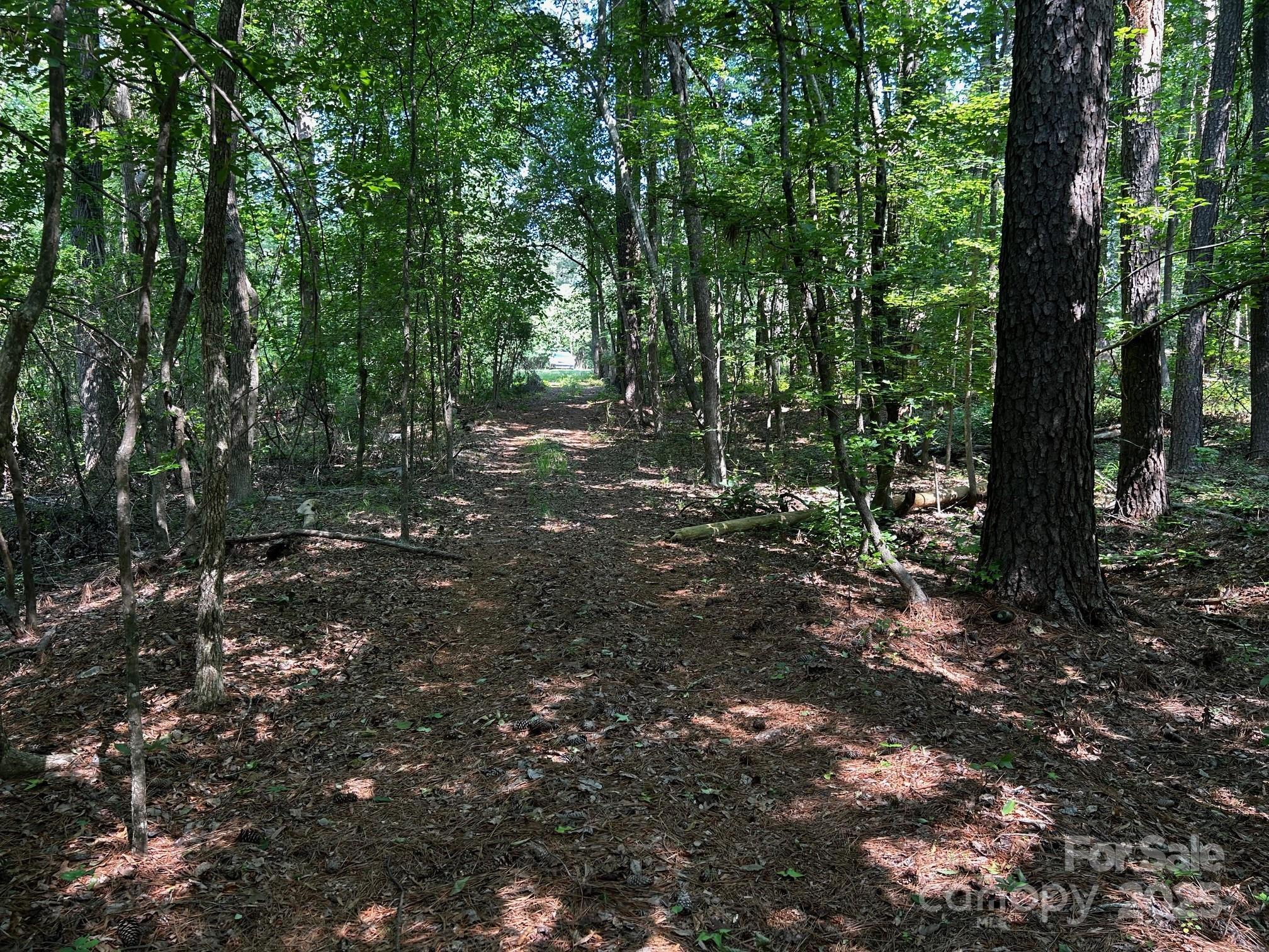 0 Hoke Road Heath Springs, SC 29058 - Photo 10 of 15