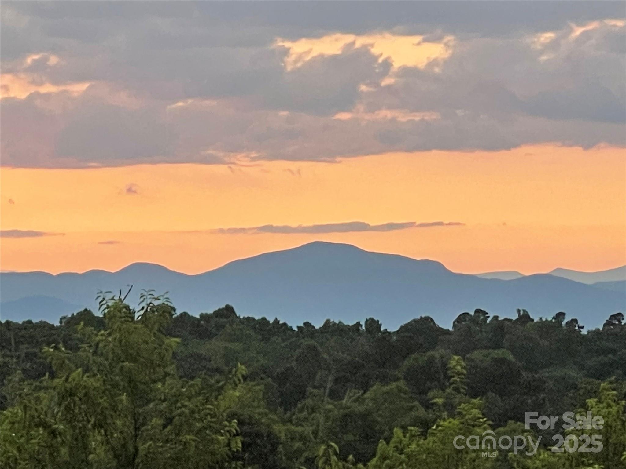 9999 Moore Road, Unit 3 Tryon, NC 28782 - Photo 6 of 17 a view of a city with sunset