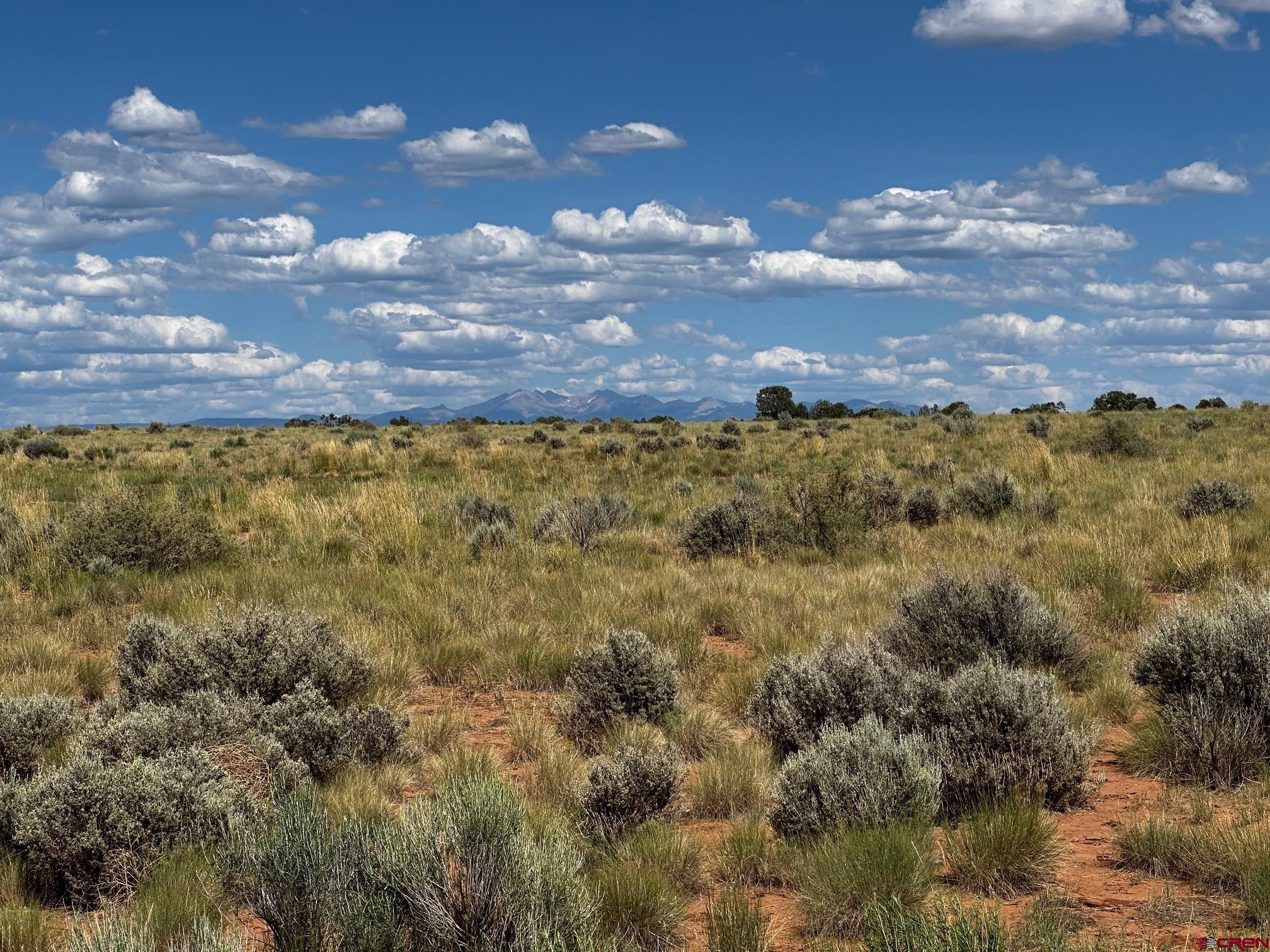 15 Yellow Jacket Co 81335 Yellow Jacket, CO 81335 - Photo 11 of 11 a view of a yard