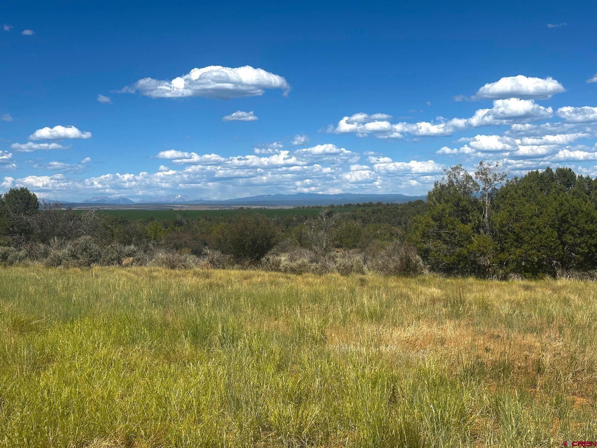 15 Yellow Jacket Co 81335 Yellow Jacket, CO 81335 - Photo 2 of 11 a view of a lake in middle of forest