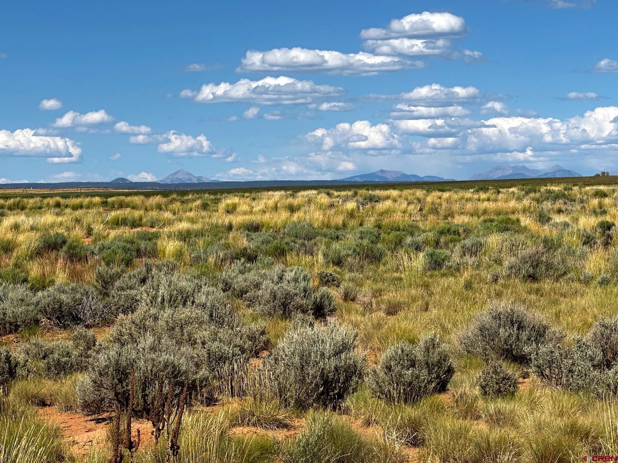 15 Yellow Jacket Co 81335 Yellow Jacket, CO 81335 - Photo 9 of 11 a view of swimming pool and mountain in the background