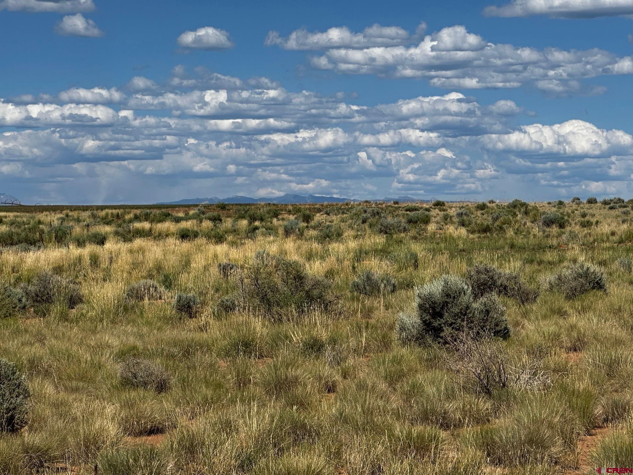 15 Yellow Jacket Co 81335 Yellow Jacket, CO 81335 - Photo 10 of 11 a view of a yard