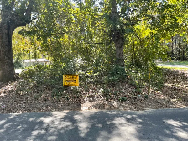 a view of a yard with plants and trees