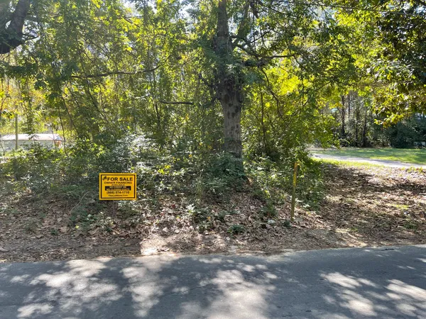 a view of a trees with a yard