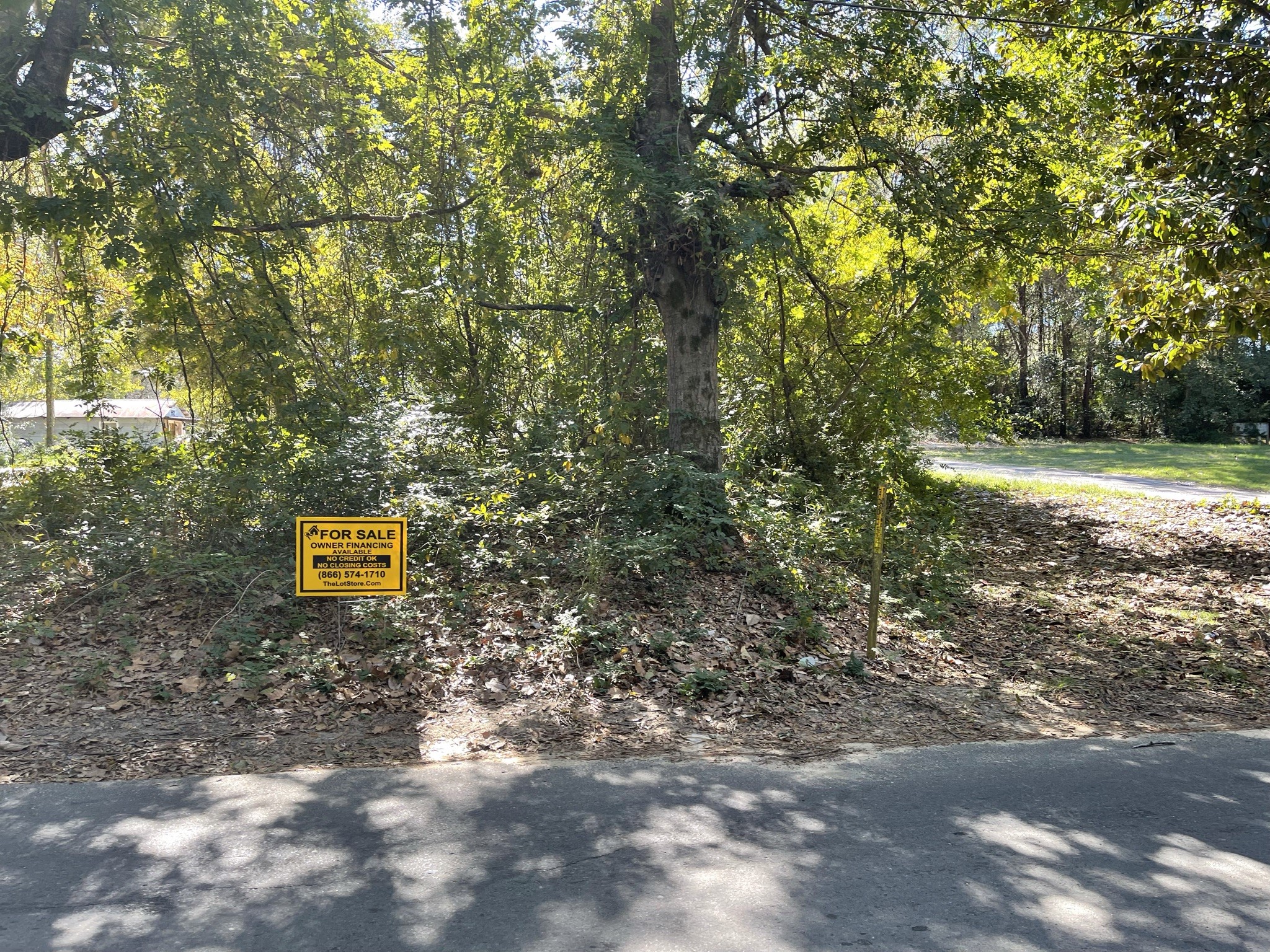 1111 Patton Other, AR 71753 - Photo 3 of 9 a view of a trees with a yard
