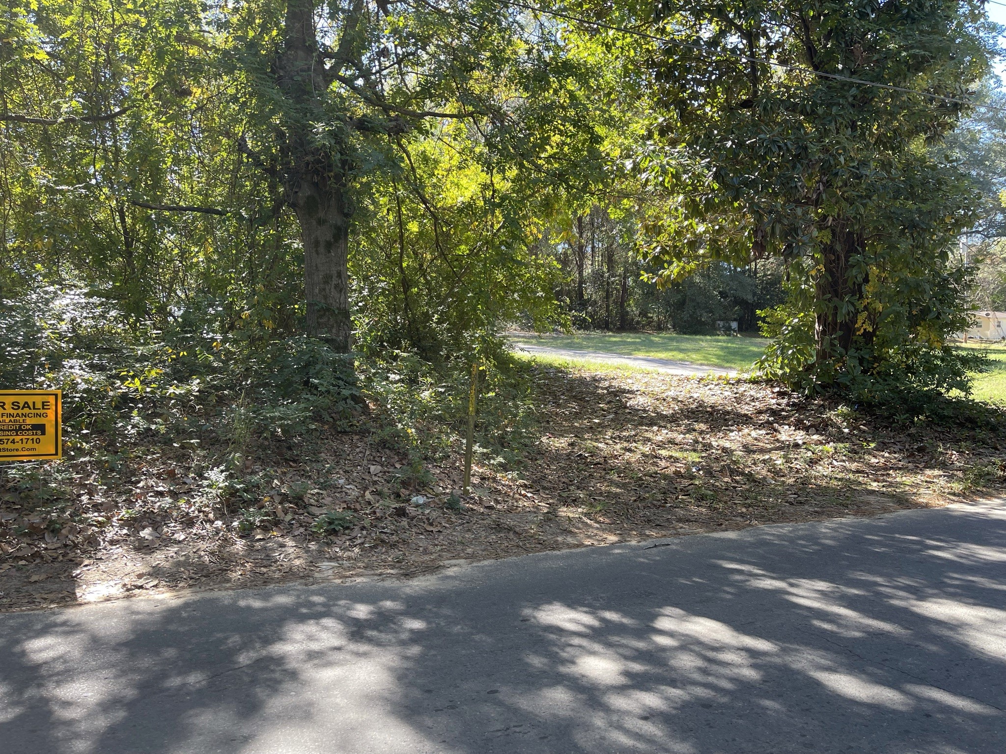 1111 Patton Other, AR 71753 - Photo 5 of 9 a view of a forest with trees in the background