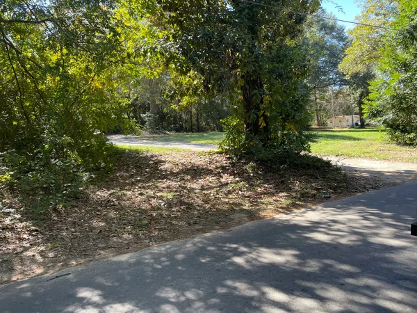 a view of a yard with a trees