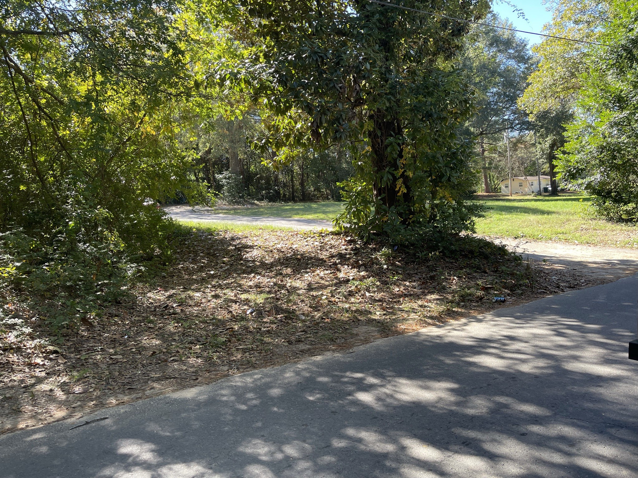 1111 Patton Other, AR 71753 - Photo 6 of 9 a view of a yard with a trees