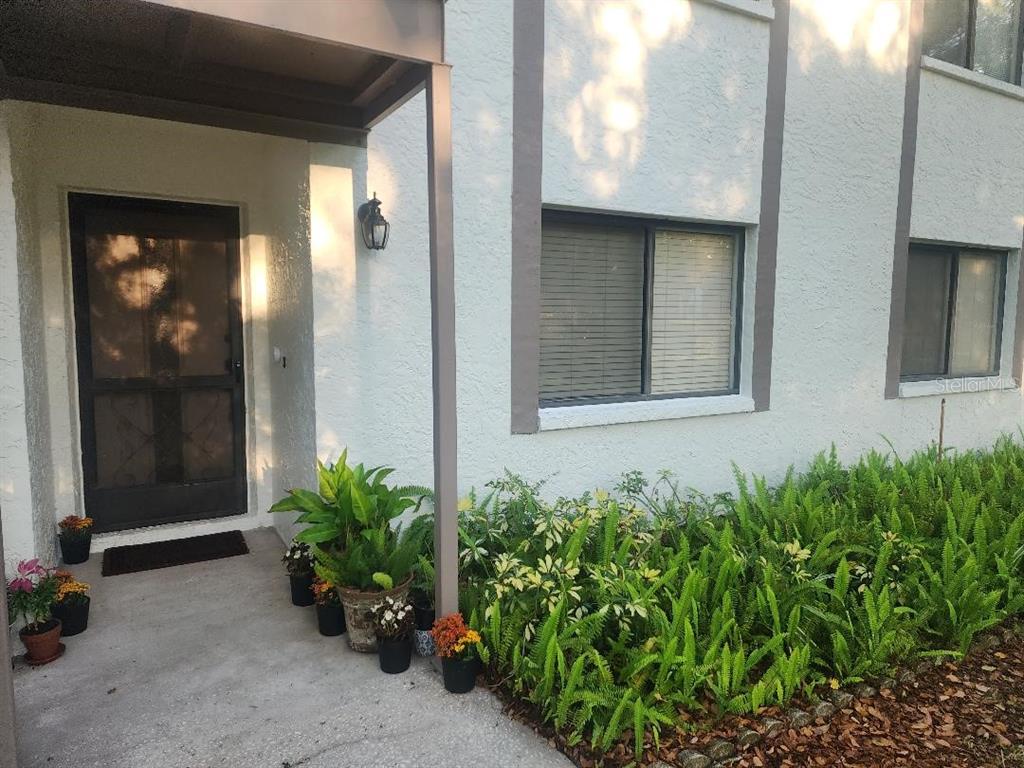 603 Baldwin Avenue, Unit B Safety Harbor, FL 34695 - Photo 4 of 32 a potted plant sitting in front of a house