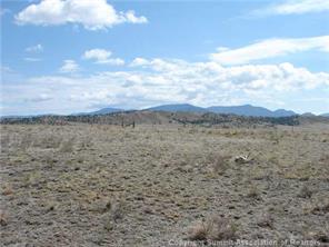 0 Pike Street Hartsel, CO 80449 - Photo 2 of 9